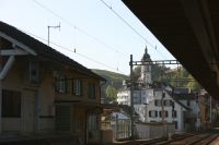IMG_8249